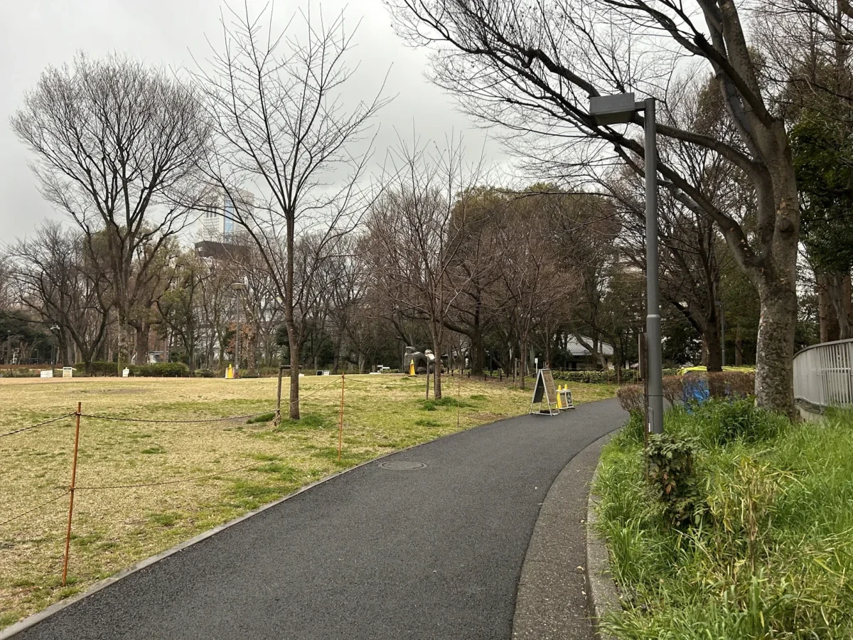 2024/03/20 桜の様子