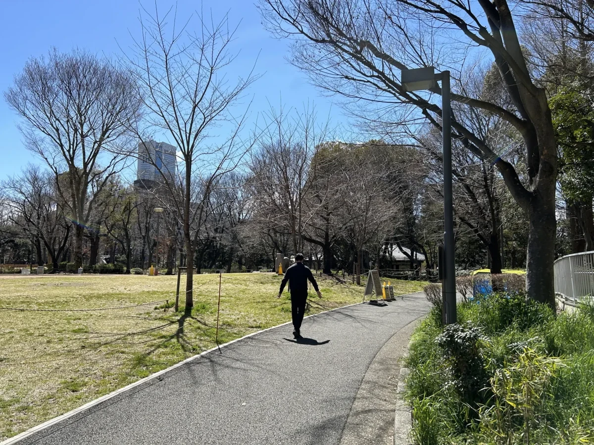 2024/03/21 桜の様子