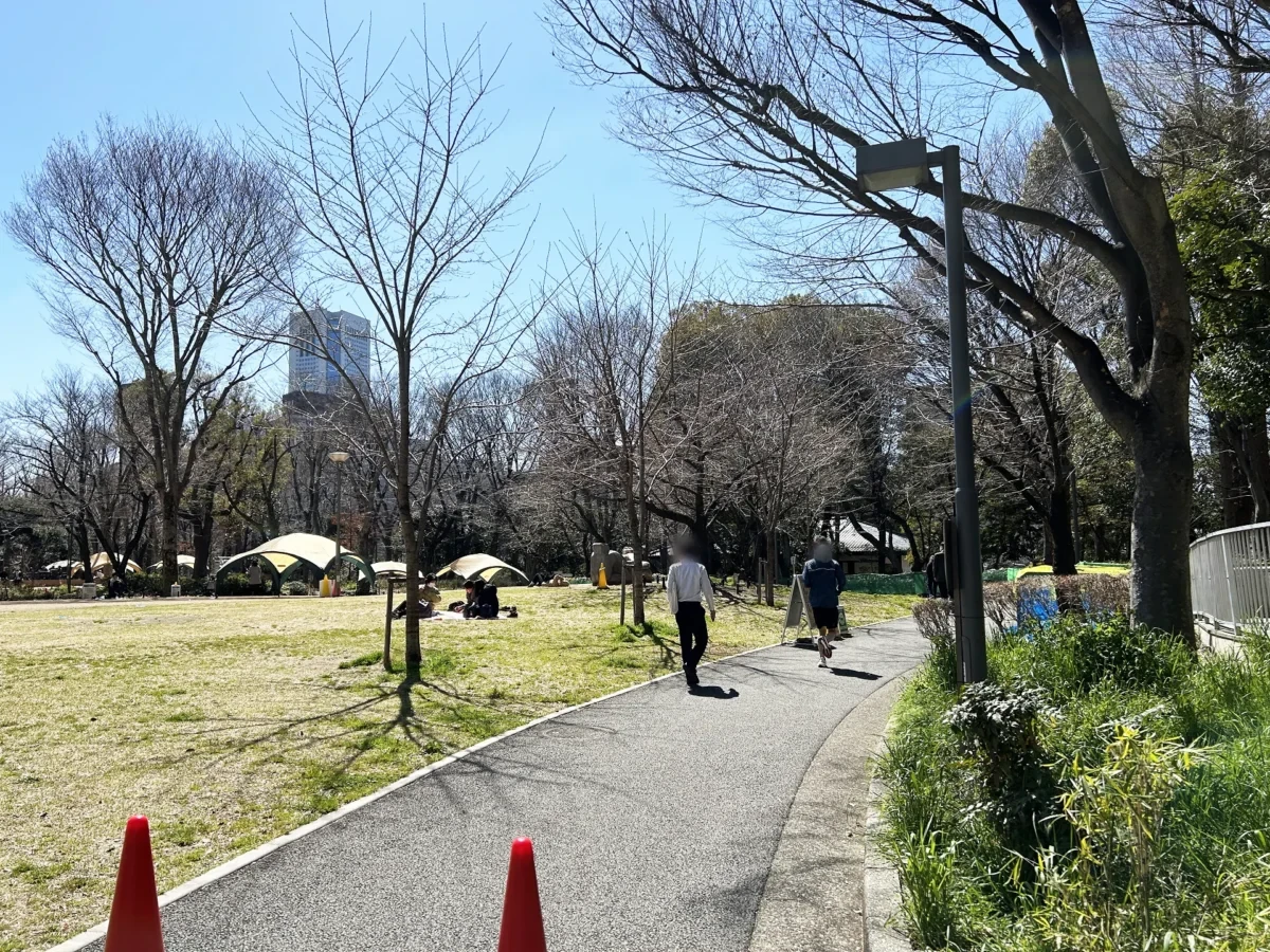 2024/03/22 桜の様子