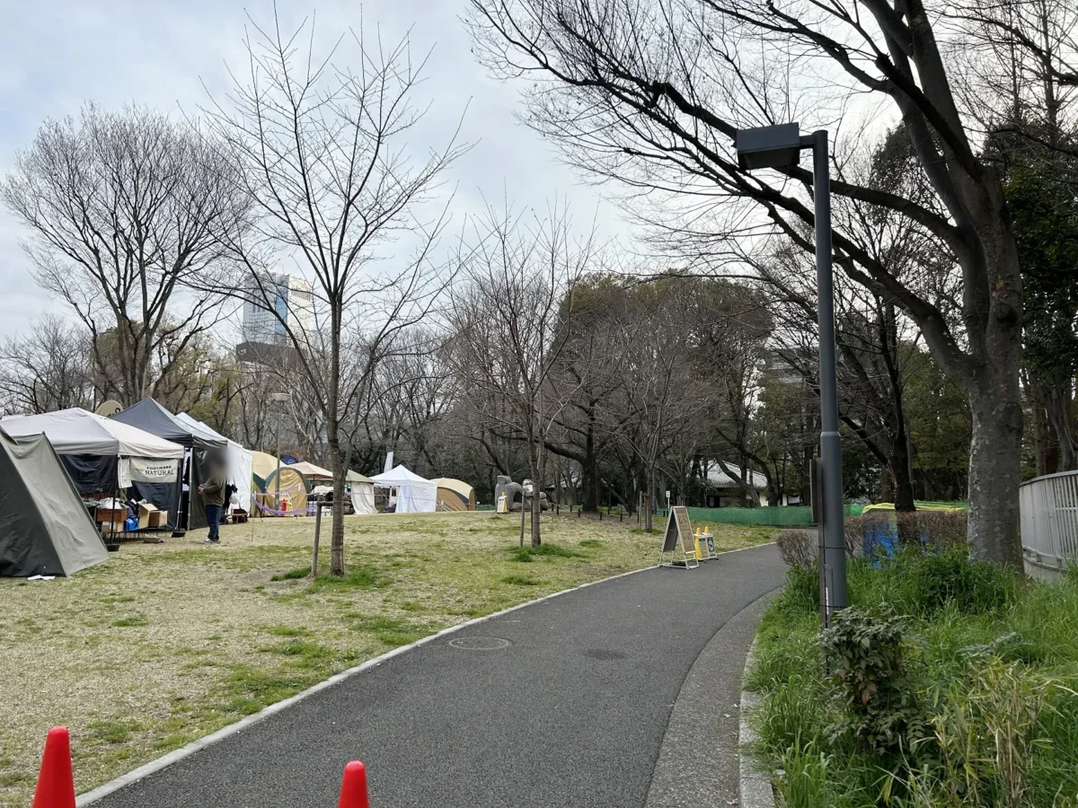2024/03/23 桜の様子