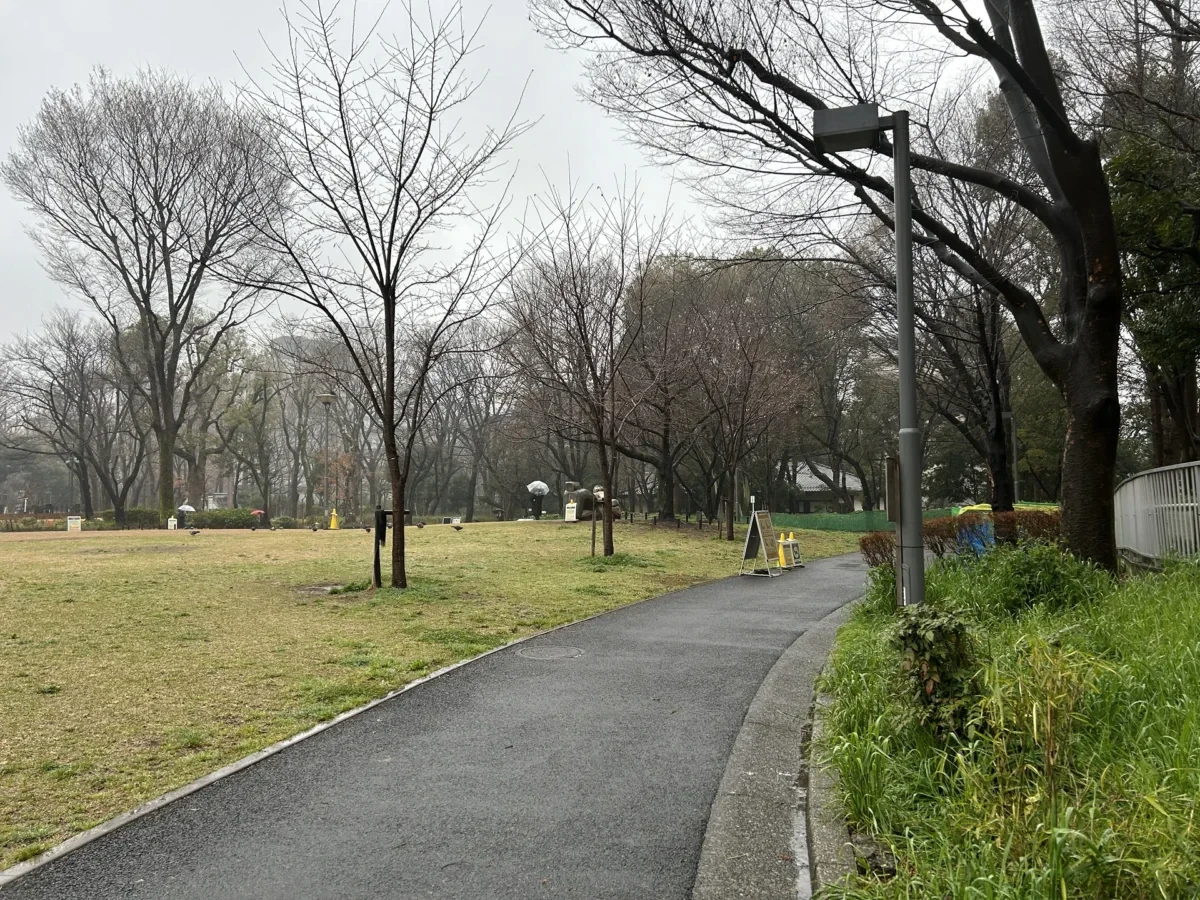 2024/03/25 桜の様子