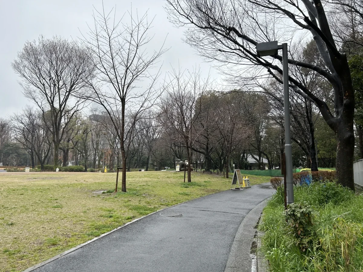 2024/03/26 桜の様子
