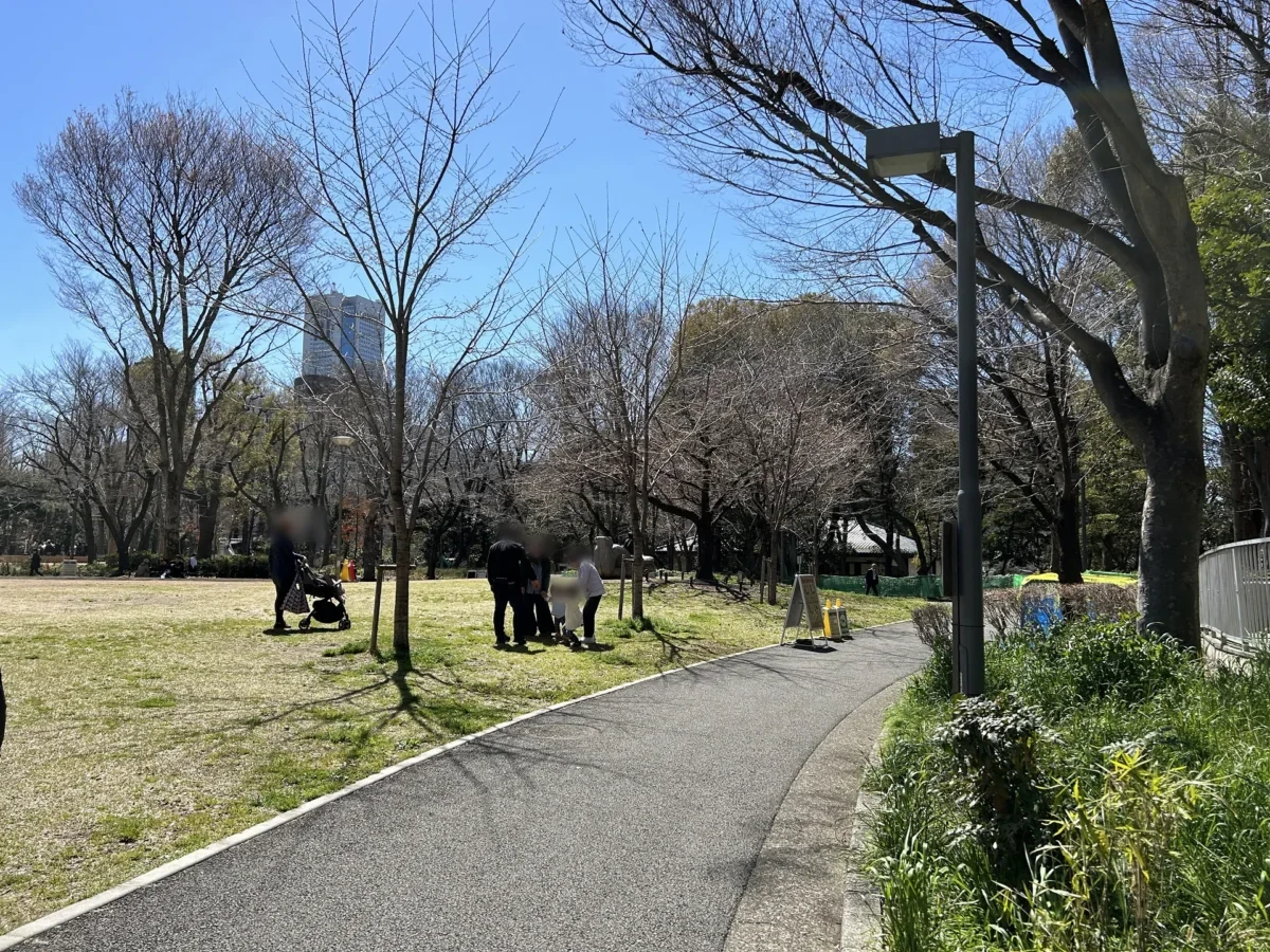 2024/03/27 桜の様子