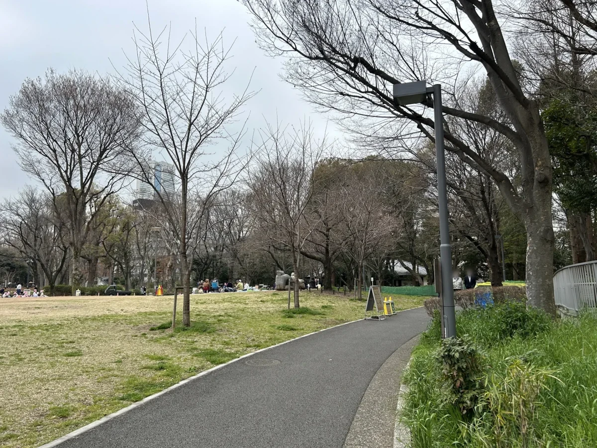 2024/03/28 桜の様子