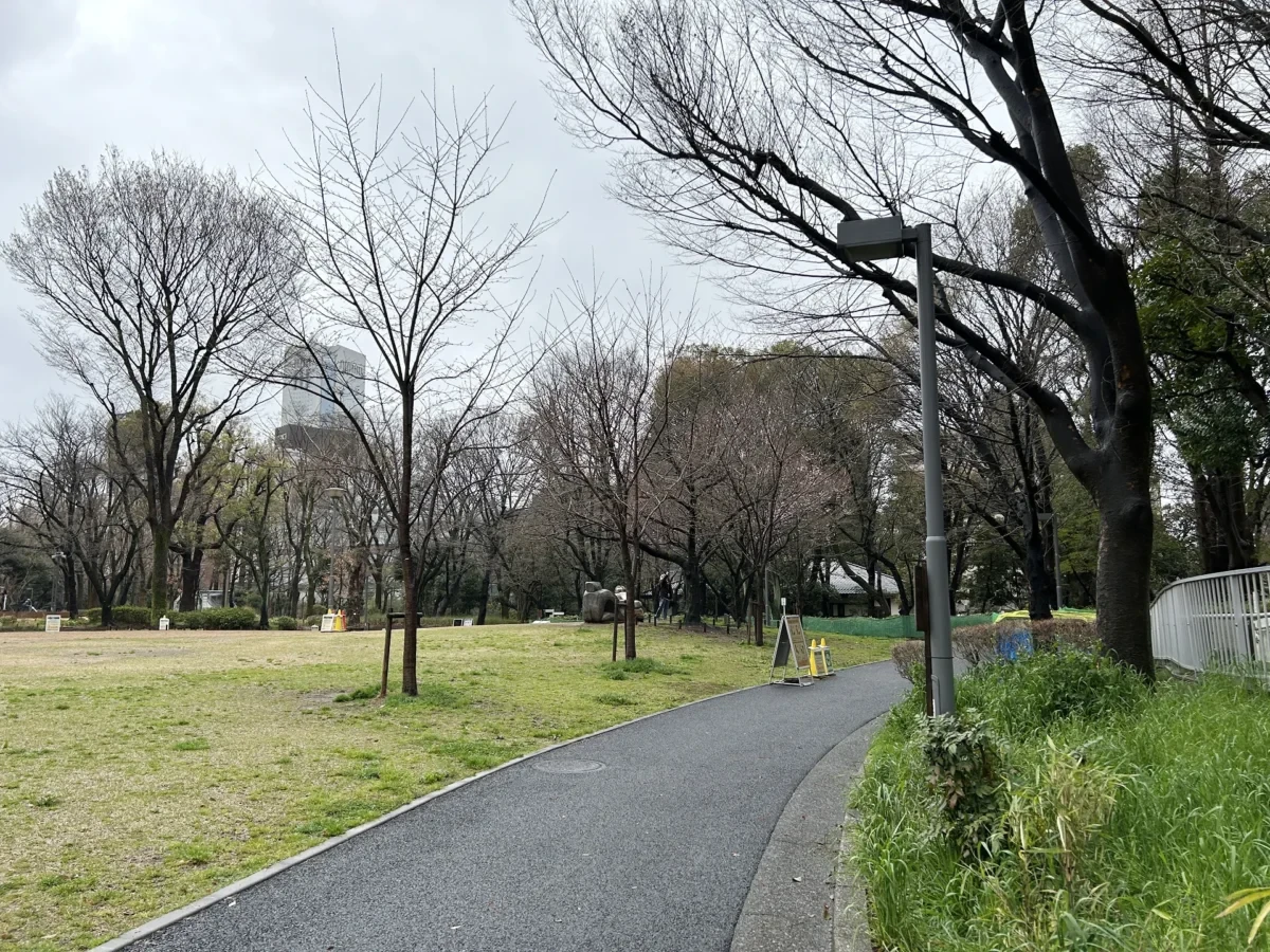 2024/03/29 桜の様子
