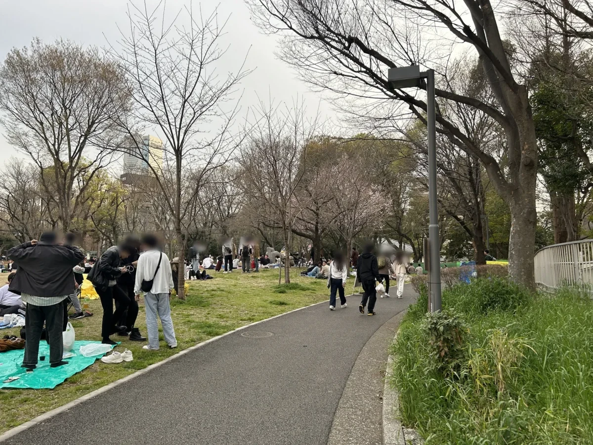 2024/03/30 桜の様子