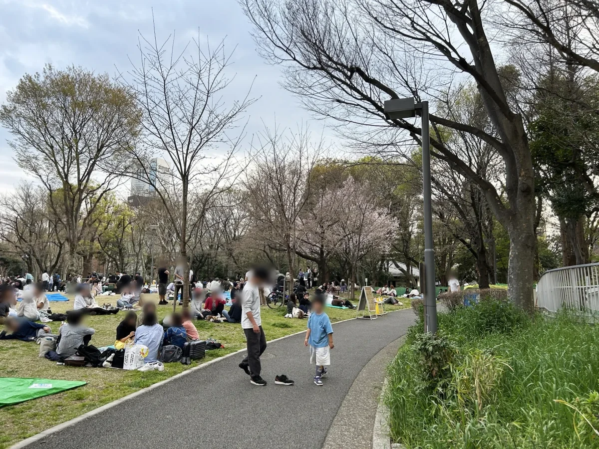 2024/03/31 桜の様子