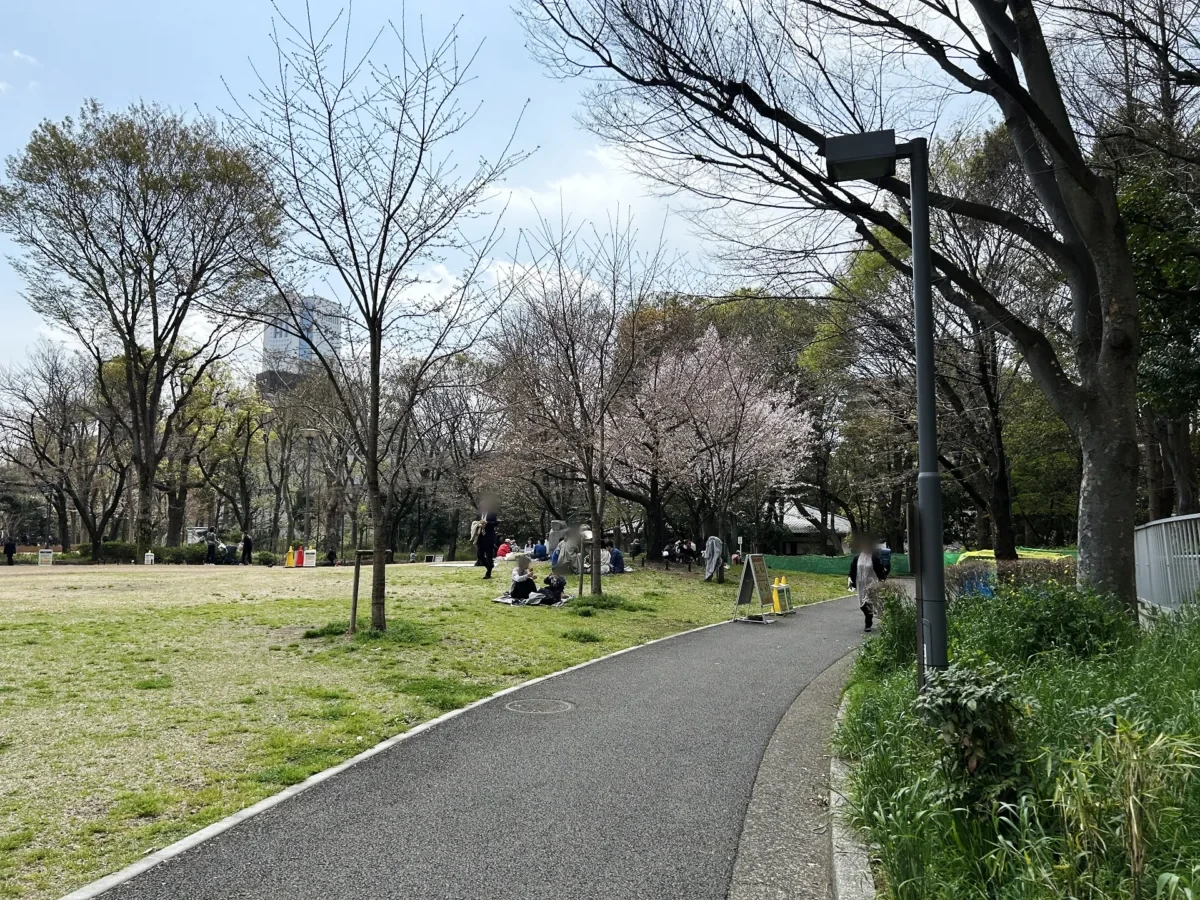 2024/04/01 桜の様子