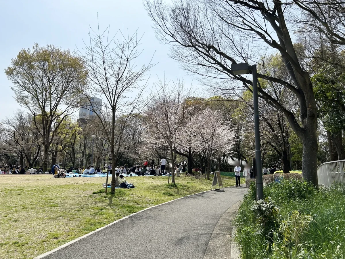 2024/04/02 桜の様子