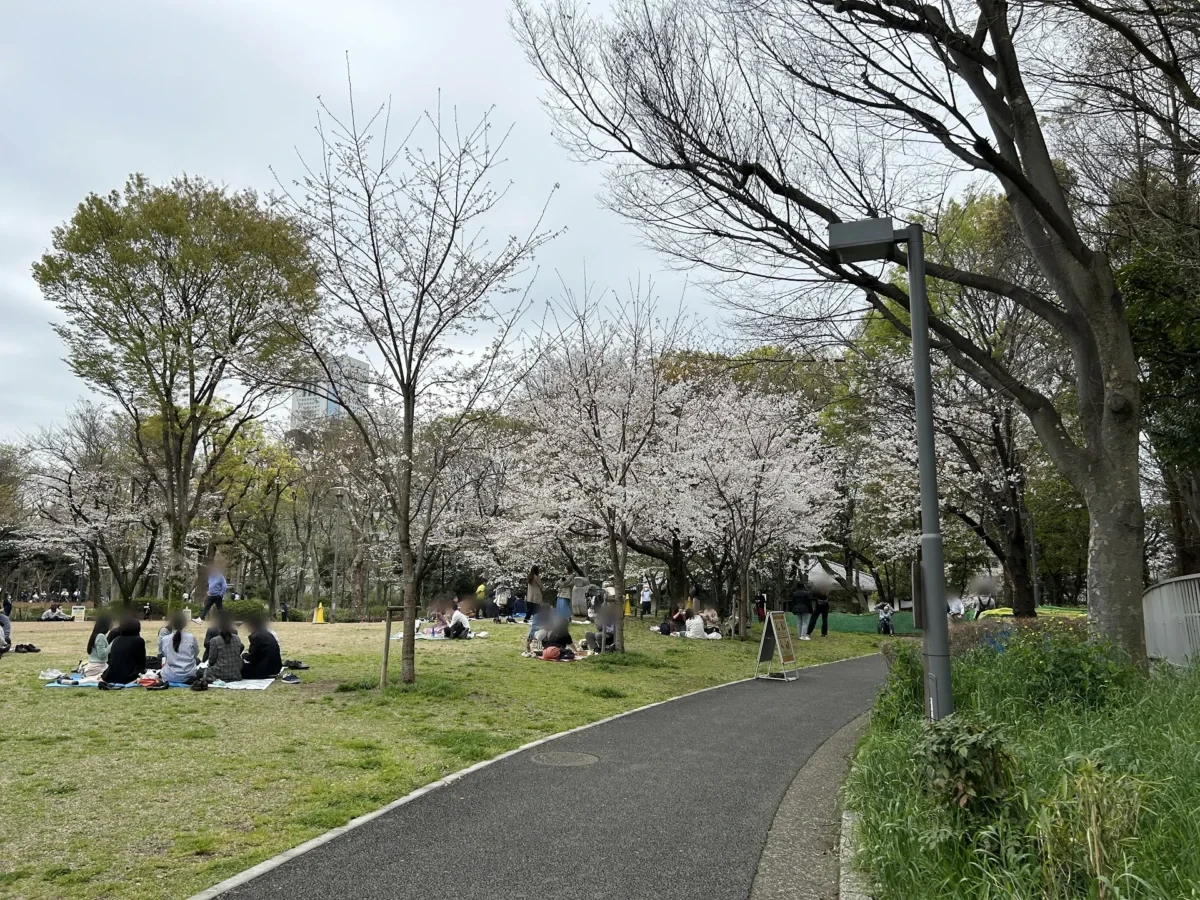 2024/04/04 桜の様子