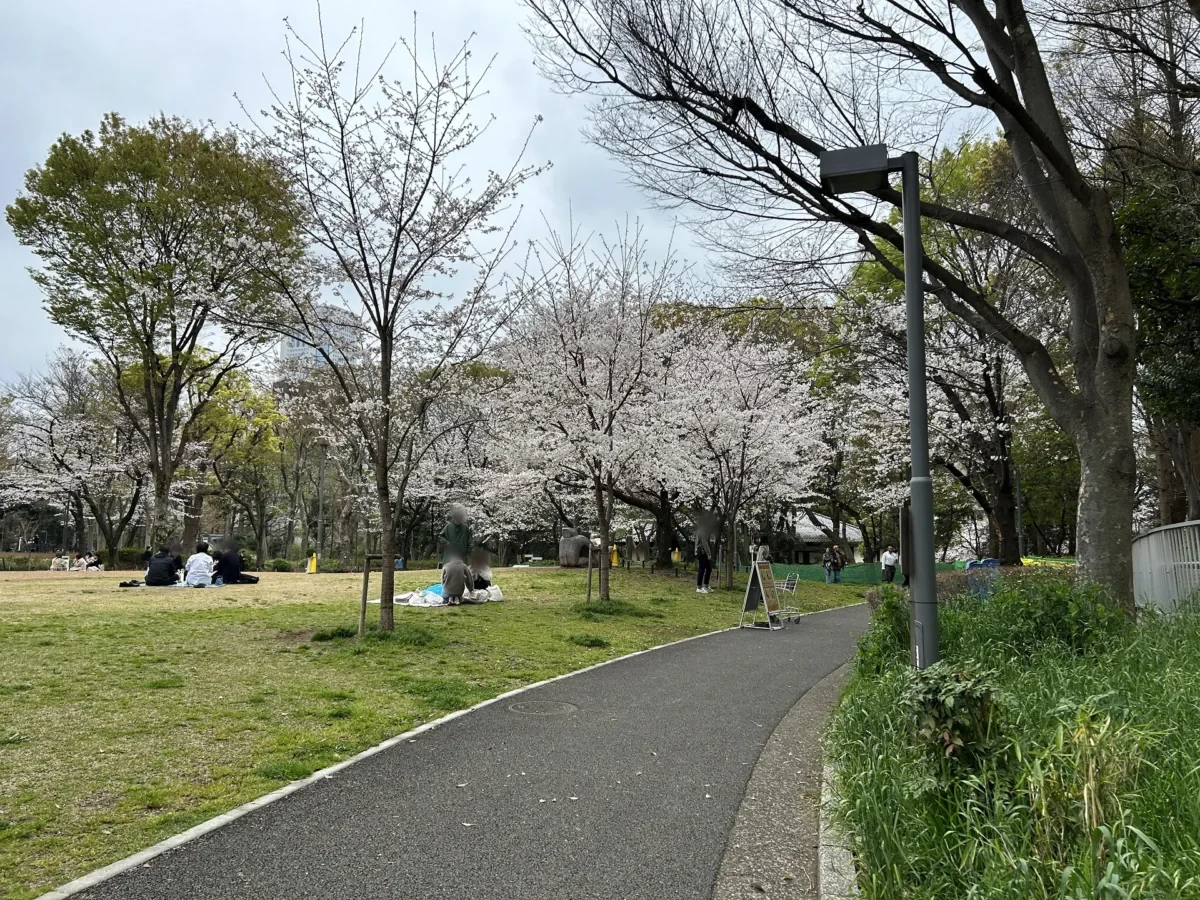 2024/04/05 桜の様子