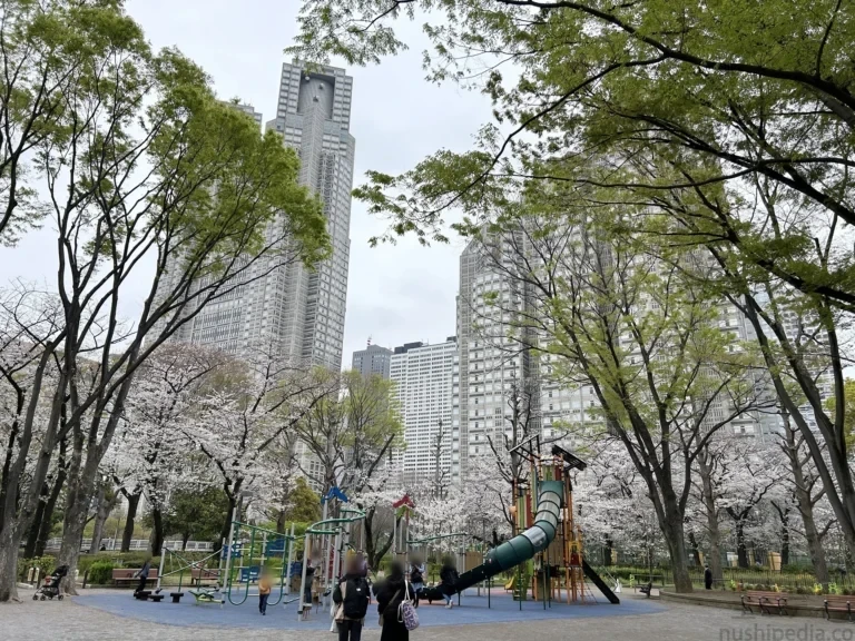 2024/04/05 公園の桜