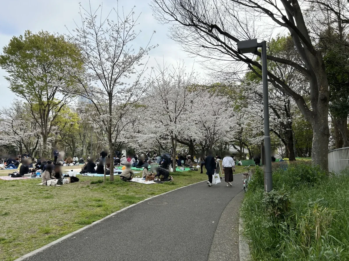 2024/04/06 桜の様子