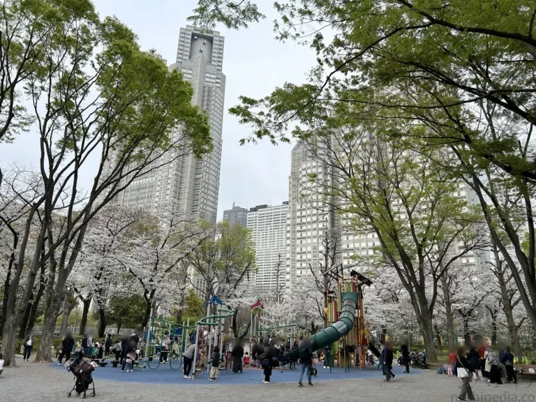 2024/04/06 公園の桜