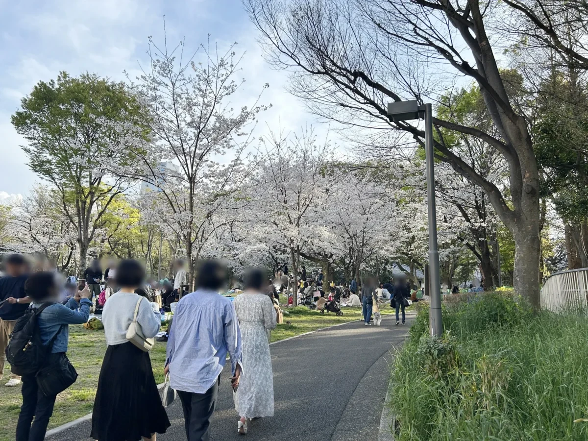 2024/04/07 桜の様子