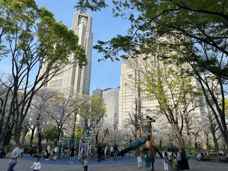 2024/04/07 公園の桜