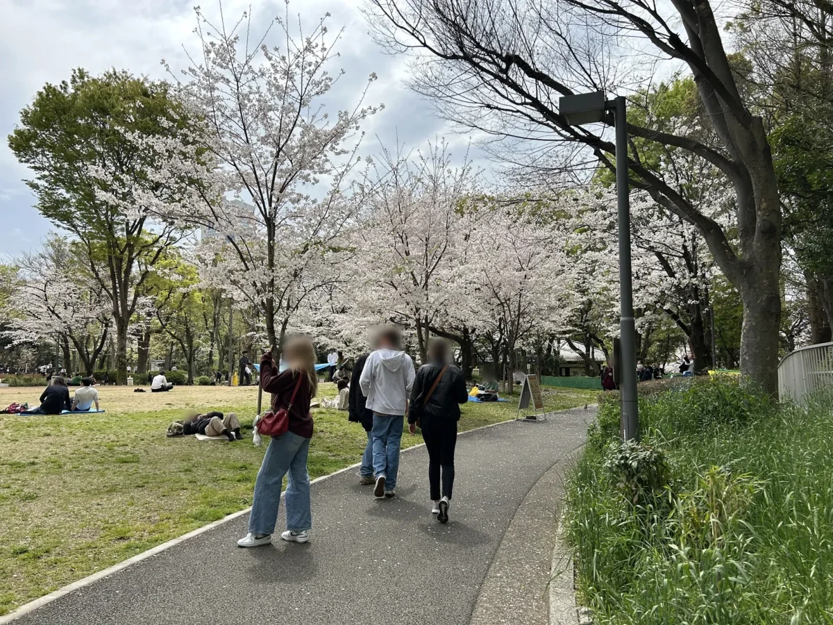 2024/04/08 桜の様子