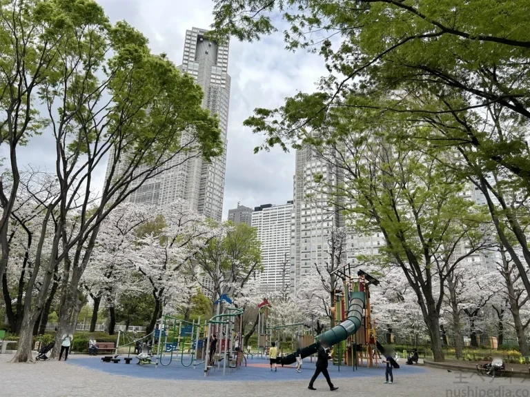 2024/04/08 公園の桜