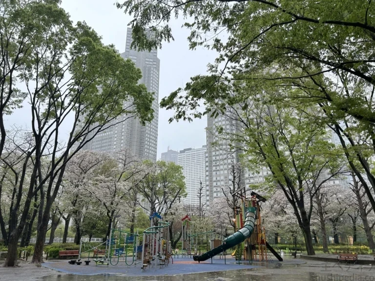 2024/04/09 公園の桜