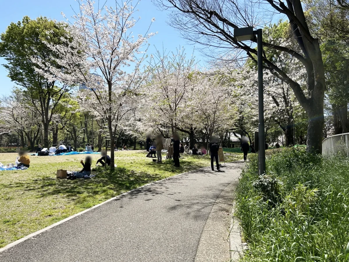 2024/04/10 桜の様子