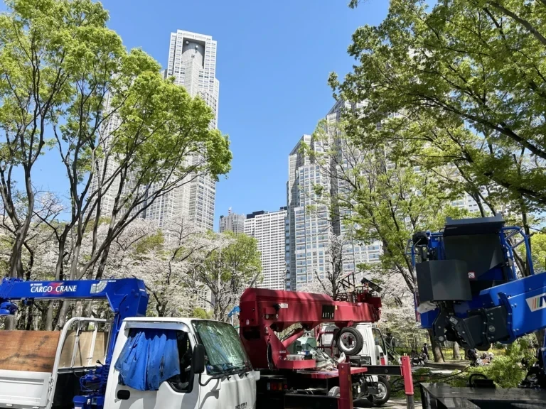 2024/04/10 公園の桜