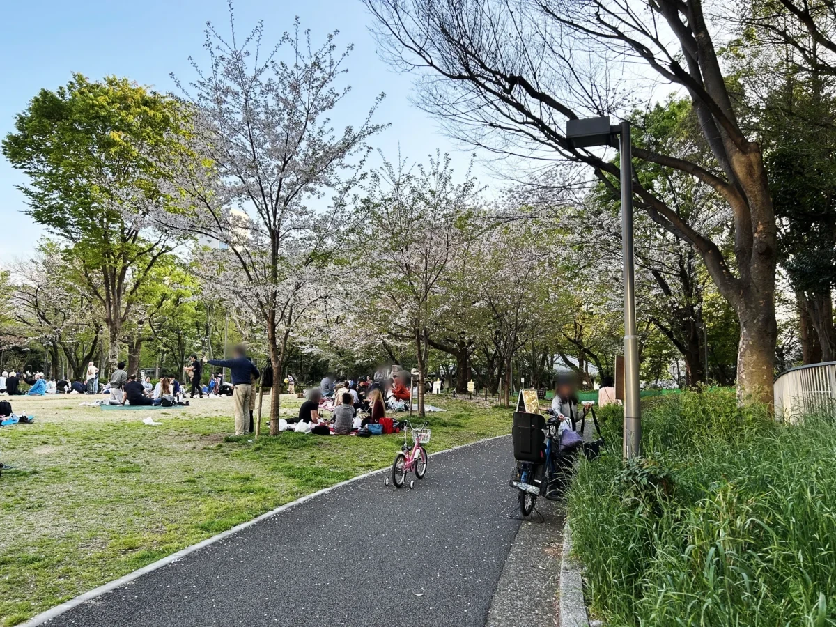 2024/04/13 桜の様子