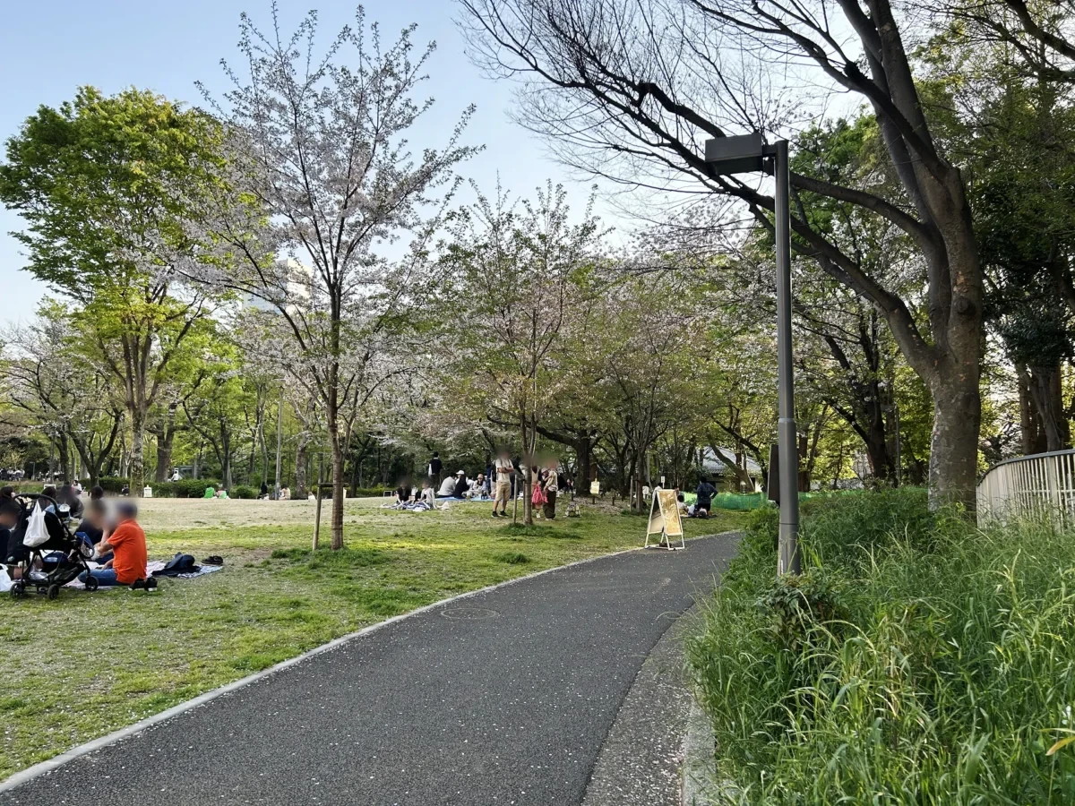 2024/04/14 桜の様子