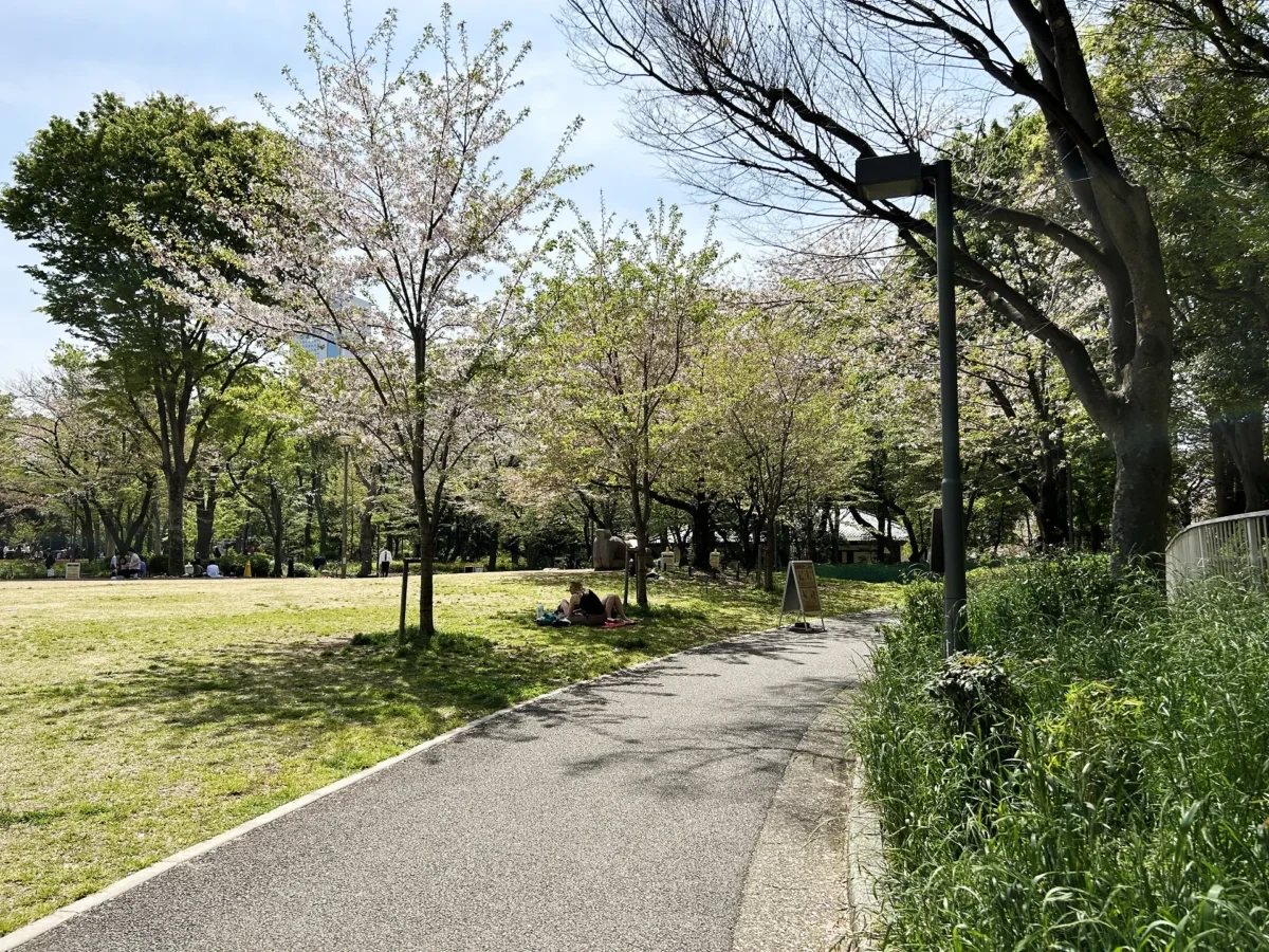 2024/04/15 桜の様子