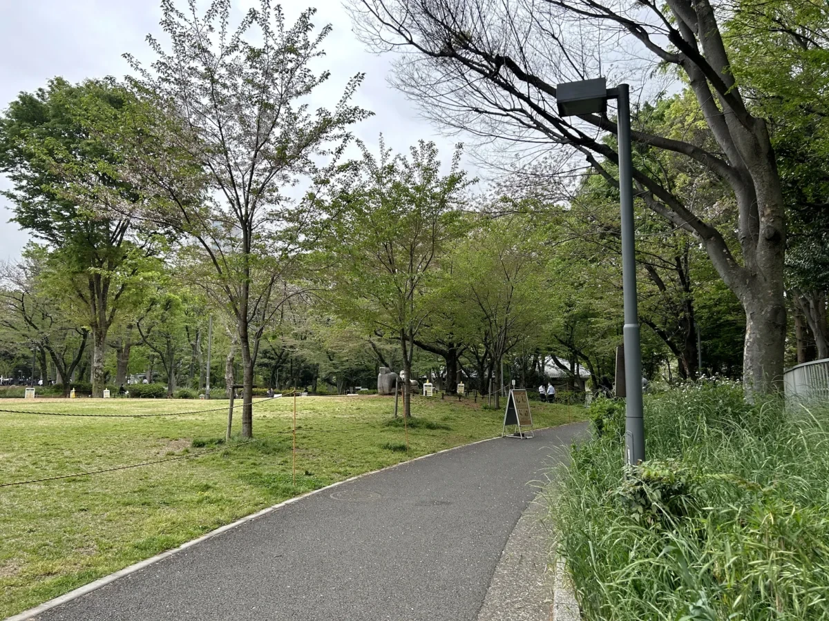 2024/04/18 桜の様子