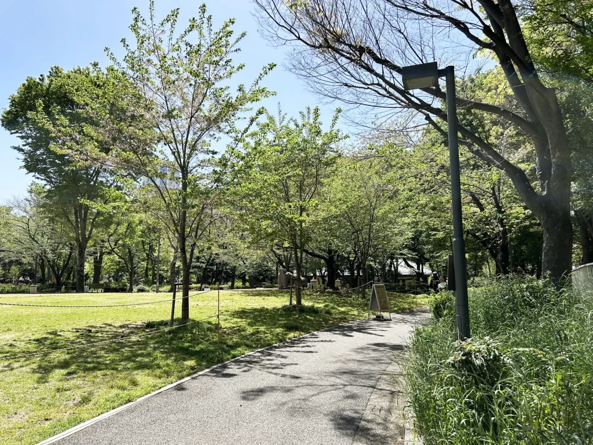 2024/04/19 桜の様子